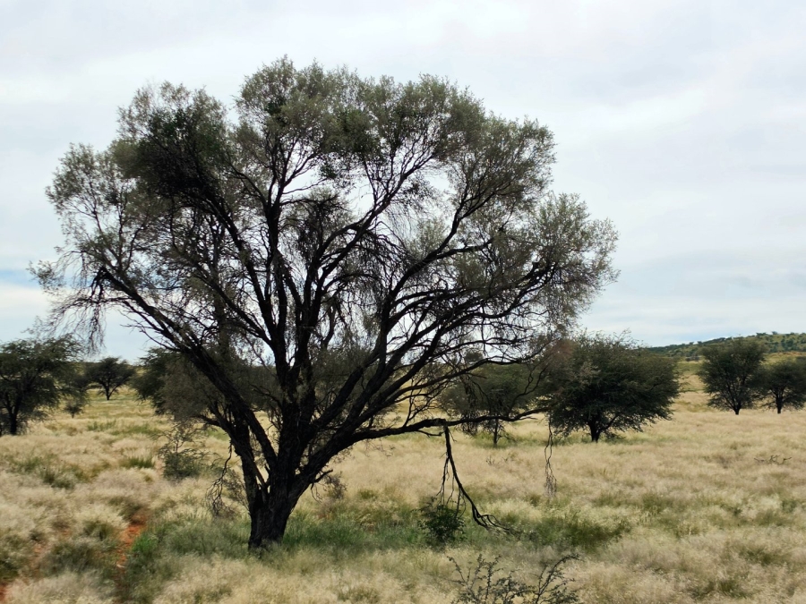 Commercial Property for Sale in Griekwastad Rural Northern Cape